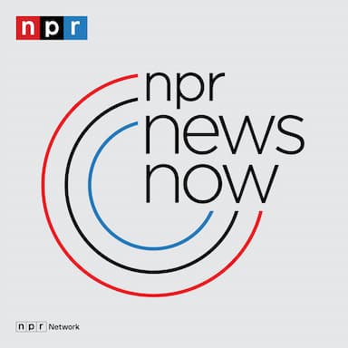 NPR News: 01-01-2025 1PM EST